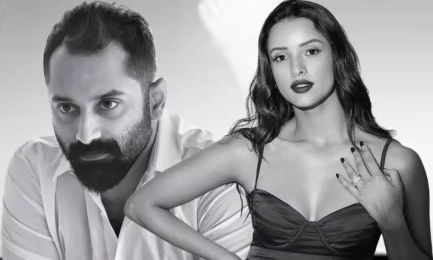 షెకావత్ సర్ తో యానిమల్ బ్యూటీ రొమాన్స్! షెకావత్ సర్ తో యానిమల్ బ్యూటీ రొమాన్స్!