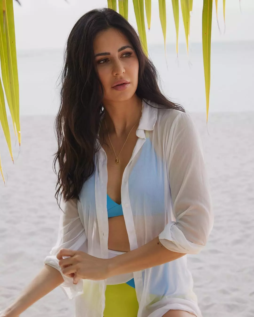 Katrina Kaif makes 2025 brighter with her stylish wishes Katrina Kaif makes 2025 brighter with her stylish wishes