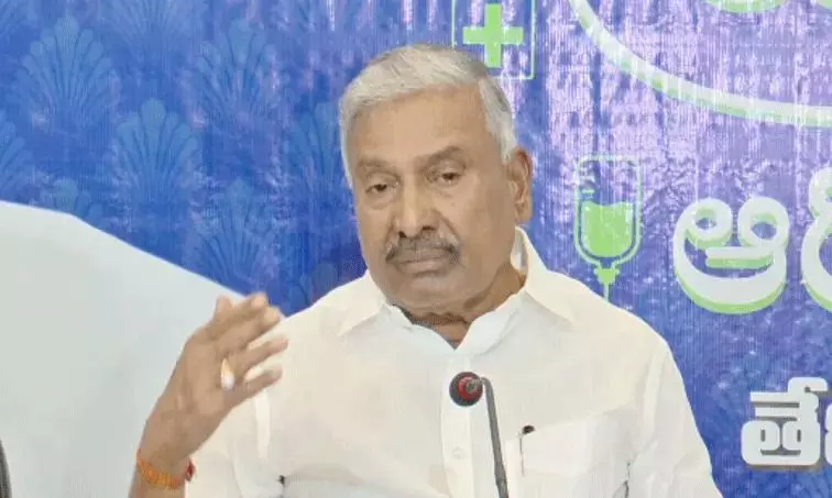 పార్టీలో విభేదాలు సహజమే.. వీఎస్ఆర్ రాజీనామాపై పెద్దిరెడ్డి
