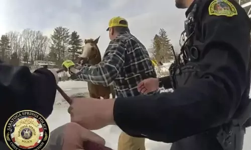 గడ్డకట్టిన చెరువులో పడిన గుర్రాన్ని పోలీసులు ఇలా రక్షించారు