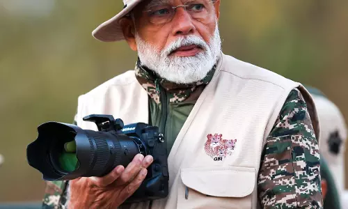 Prime Minister Supports Asiatic Lions On World Wildlife Day