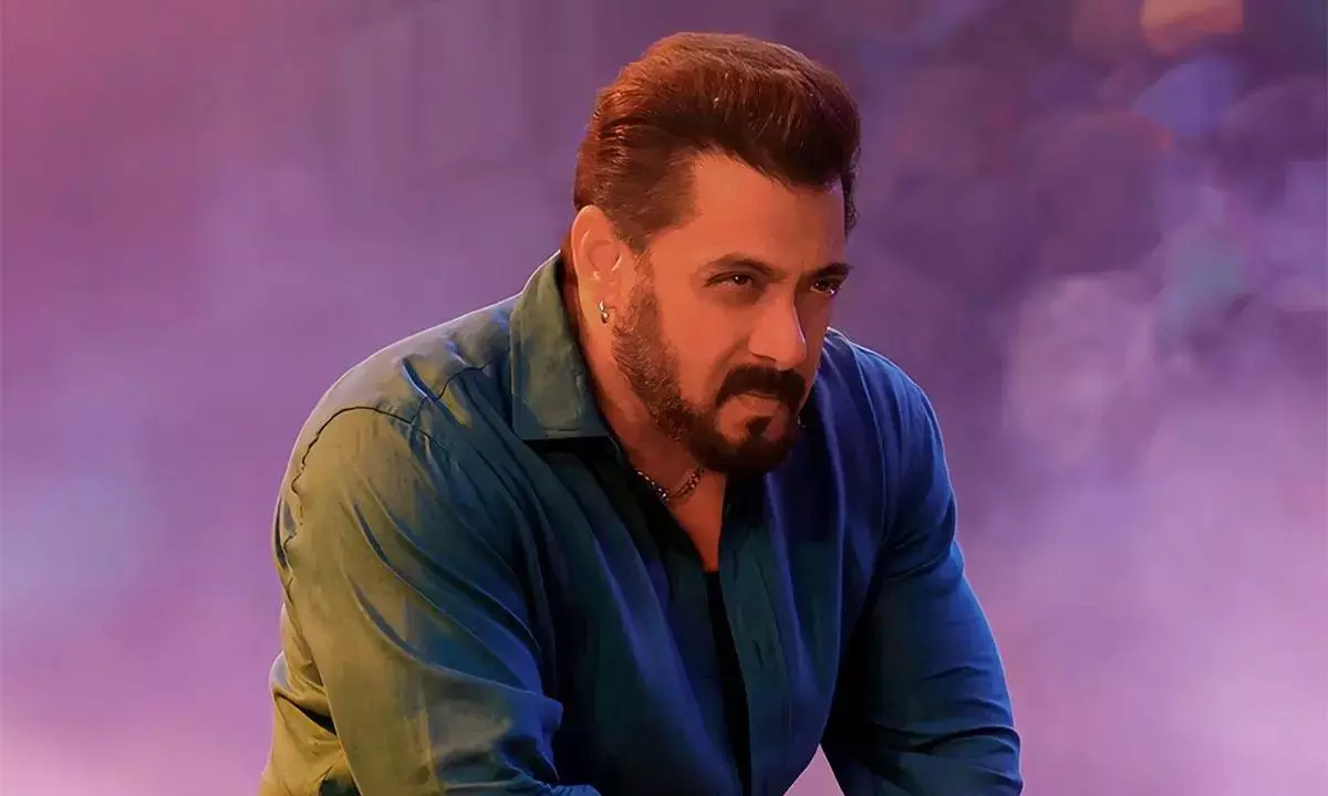పాకిస్తానీ న‌టితో స‌ల్మాన్ ఖాన్ పెళ్లి?