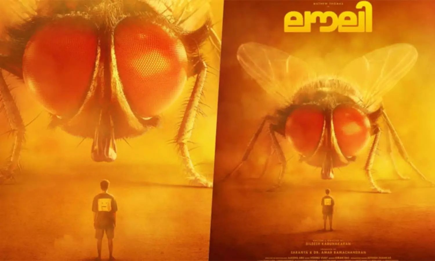 ఆ ఈగ మ‌న ఈగ కాదుగా!