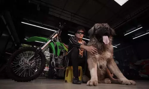 ఈ శునకం ధర రూ.50 కోట్లు... మమ్మీ, డాడీ షాకింగ్  కాంబినేషన్!