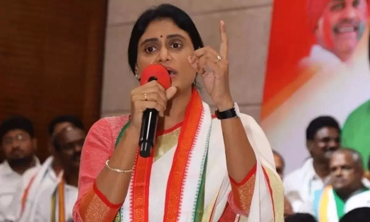 YS Sharmila Raises Allegations Against Avinash Reddy
