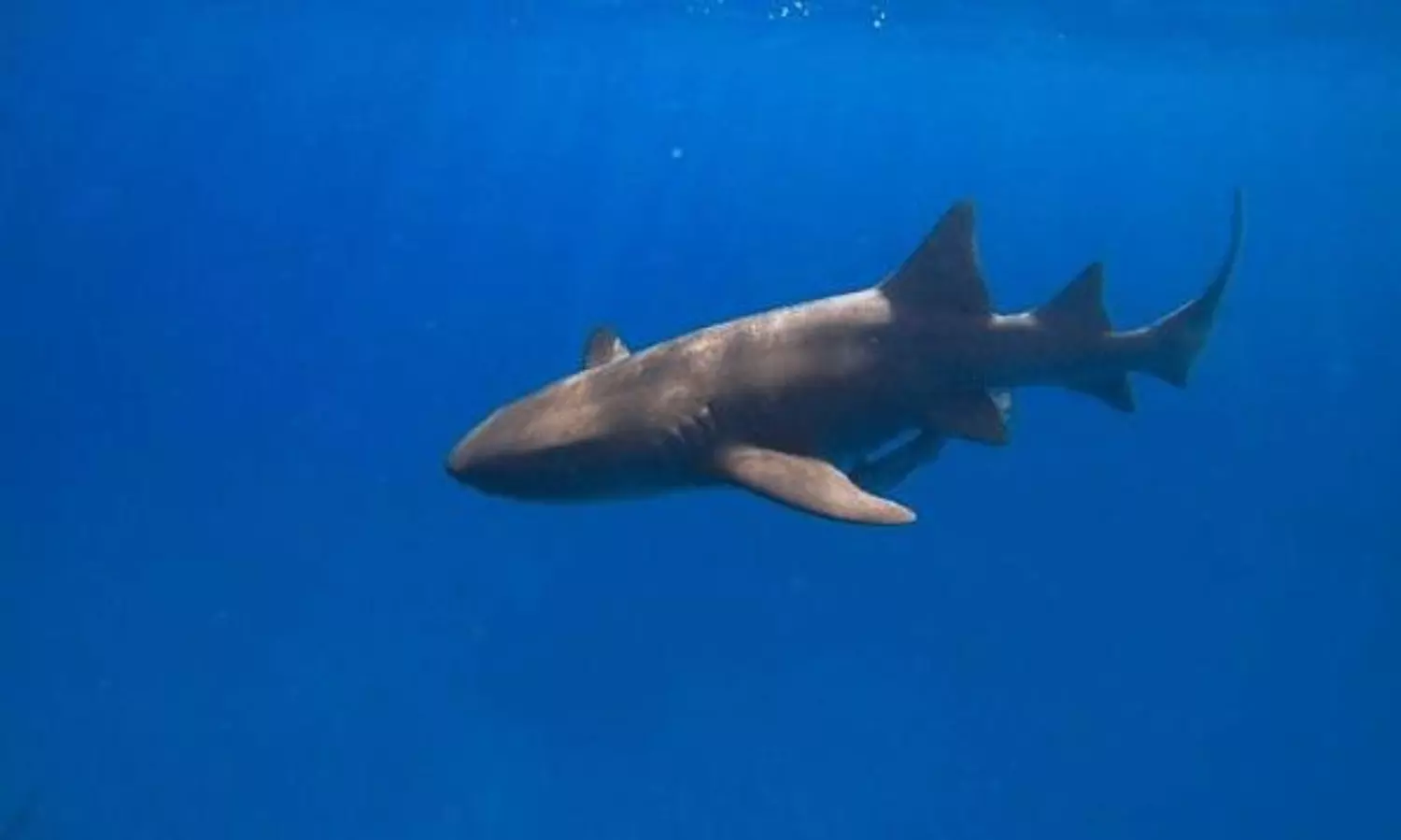 US Issues Travel Warning for Bahamas