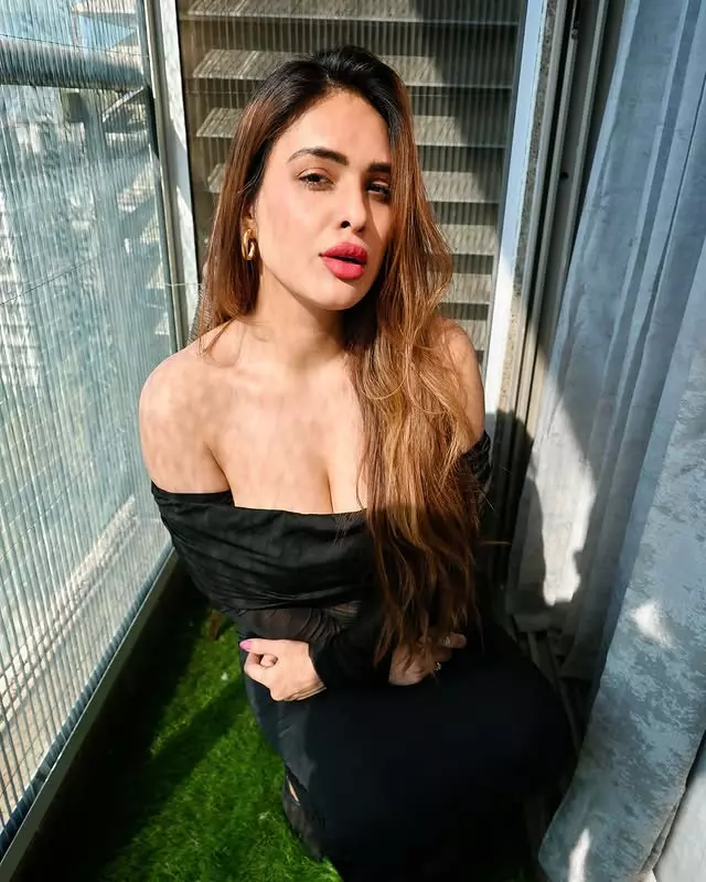 Neha Malik Setting Instagram on Fire with Elegance Photoshoot Neha Malik Setting Instagram on Fire with Elegance Photoshoot