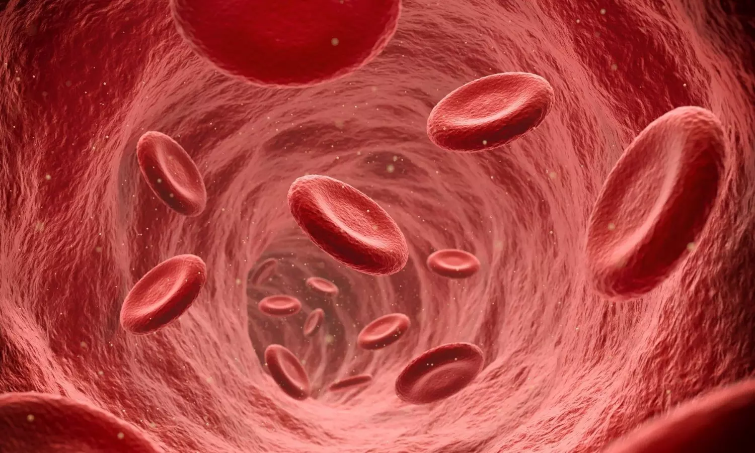 Newly Formed Blood Cells Newly Formed Blood Cells