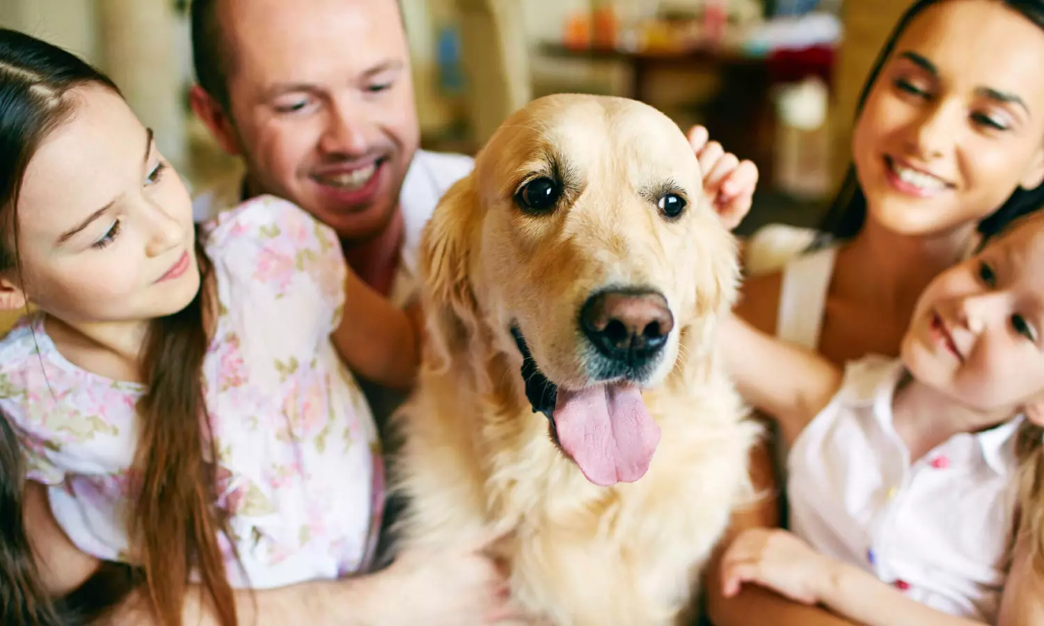 Pet Adopt Rules In India