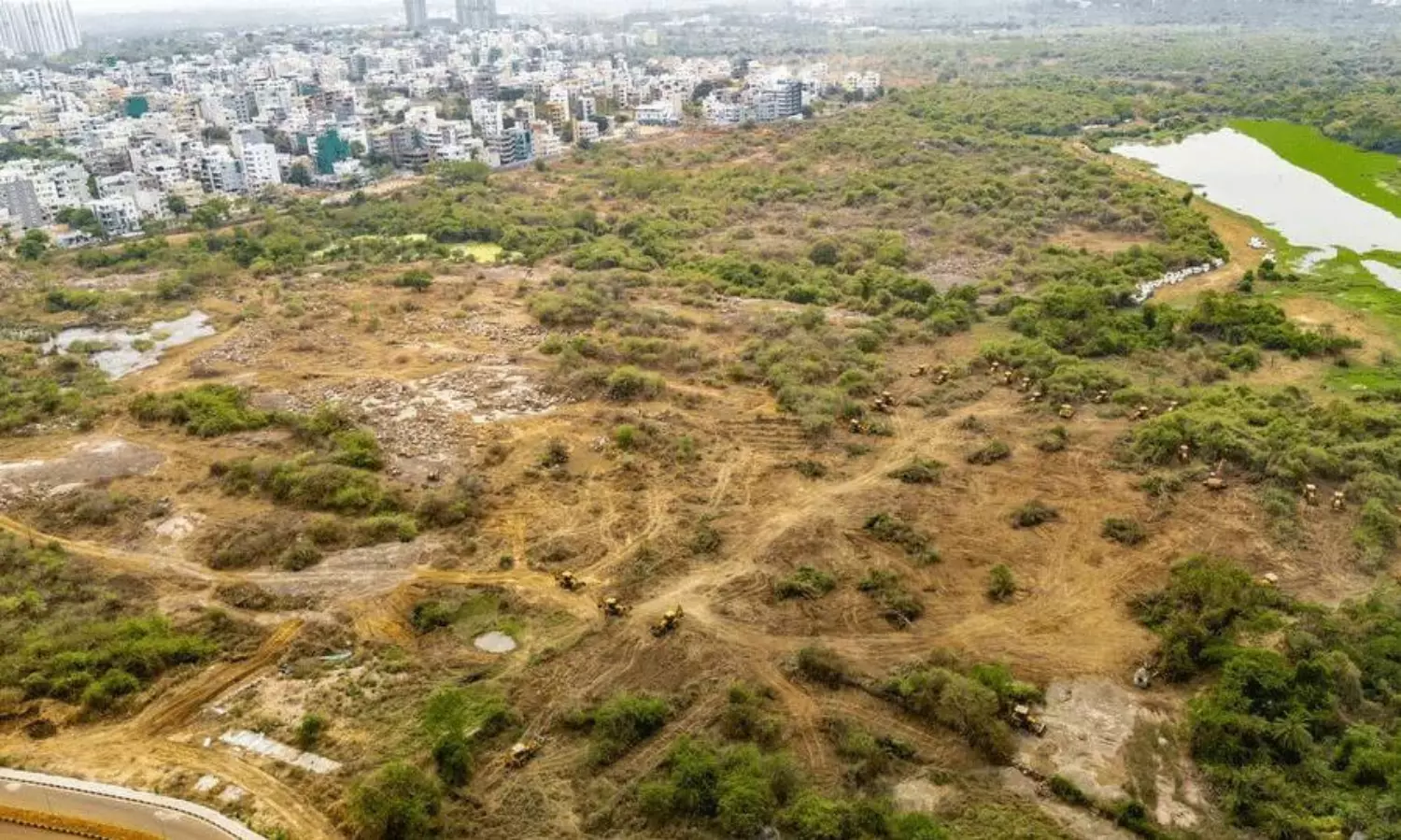 కంచె గచ్చిబౌలి ఇష్యూ: సుప్రీం కమిటీ అడిగిందేంటి? సర్కారు చెప్పిందేంటి?