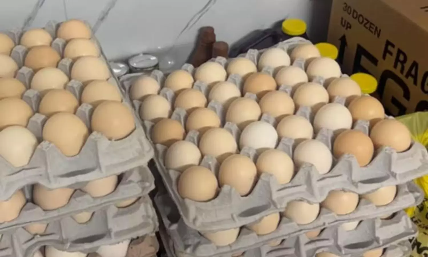 అలేఖ్య చిట్టి పచ్చళ్లే కాదు అమెరికాలో కోడిగుడ్లు కొనటం కష్టమే అలేఖ్య చిట్టి పచ్చళ్లే కాదు అమెరికాలో కోడిగుడ్లు కొనటం కష్టమే