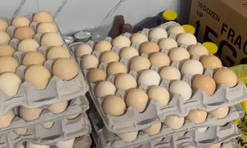 అలేఖ్య చిట్టి పచ్చళ్లే కాదు అమెరికాలో కోడిగుడ్లు కొనటం కష్టమే