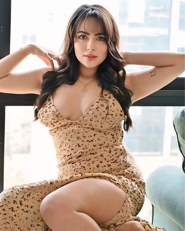 Aanchal Munjal turns heads in animal print dress