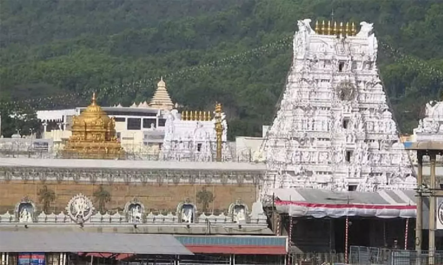 బాబు చెప్పినా బేఫిక‌ర్‌.. తిరుమ‌ల‌లో మ‌రో ఘ‌ట‌న‌!