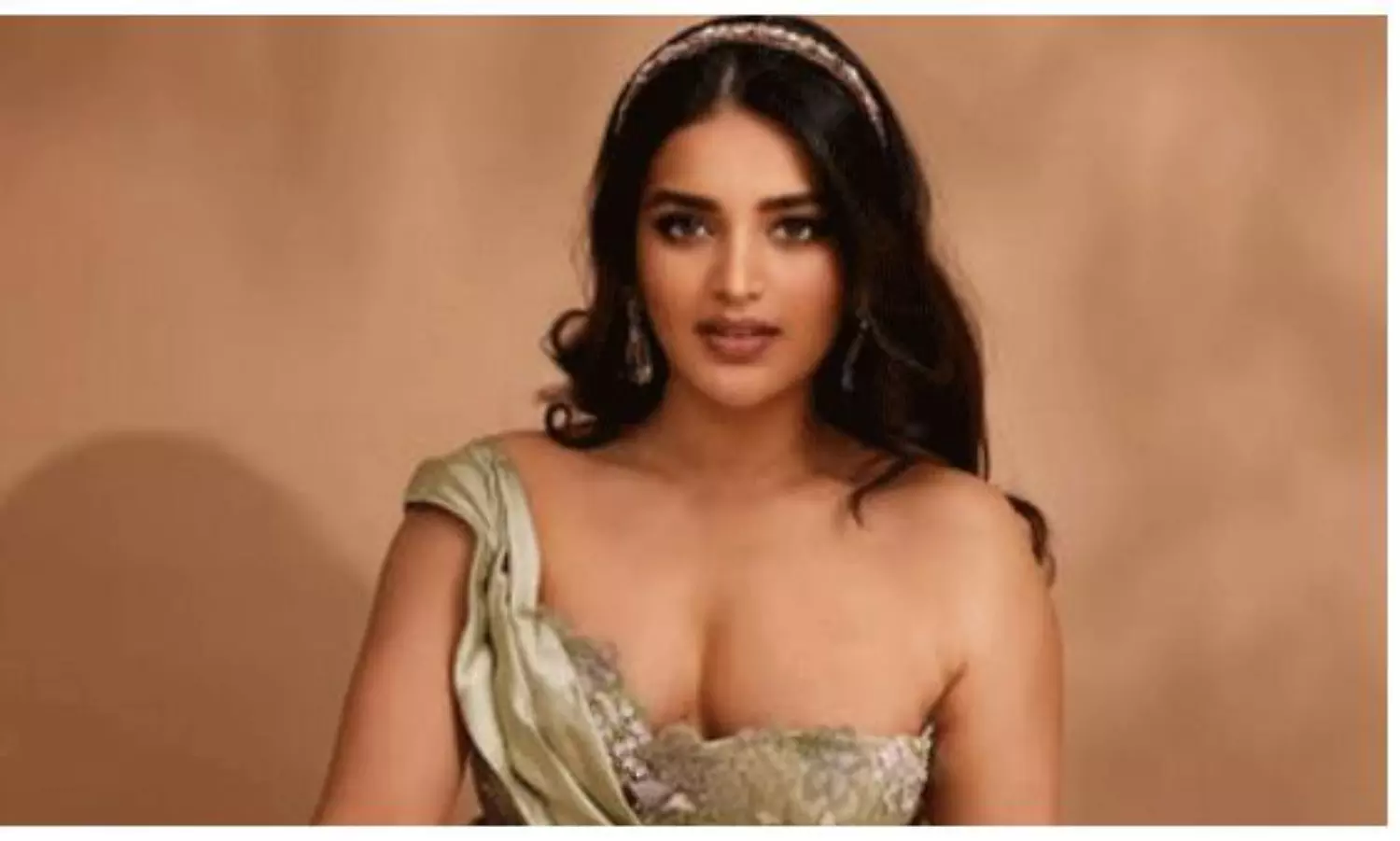 Nidhi Agarwal React Netizens Comments