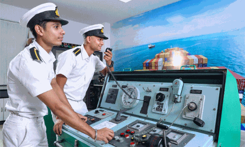 Seamens Book: A Passport Alternative