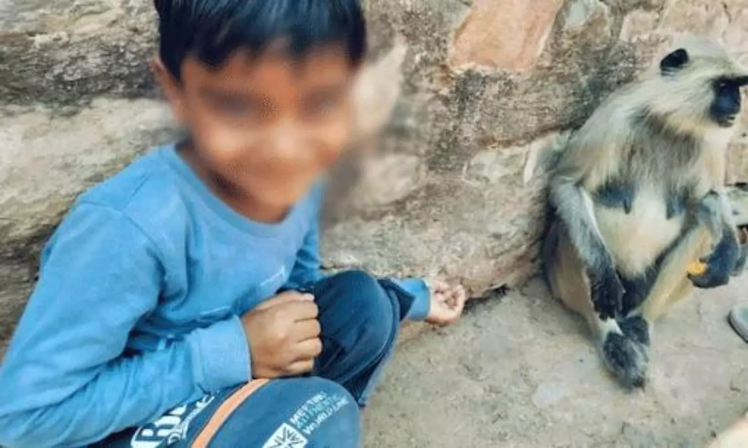 కళ్లెదుటే గుడికి వెళ్లొస్తున్న బాలుడిని ఎత్తుకెళ్లిన పులి.. భయానక ఘటన! కళ్లెదుటే గుడికి వెళ్లొస్తున్న బాలుడిని ఎత్తుకెళ్లిన పులి.. భయానక ఘటన!