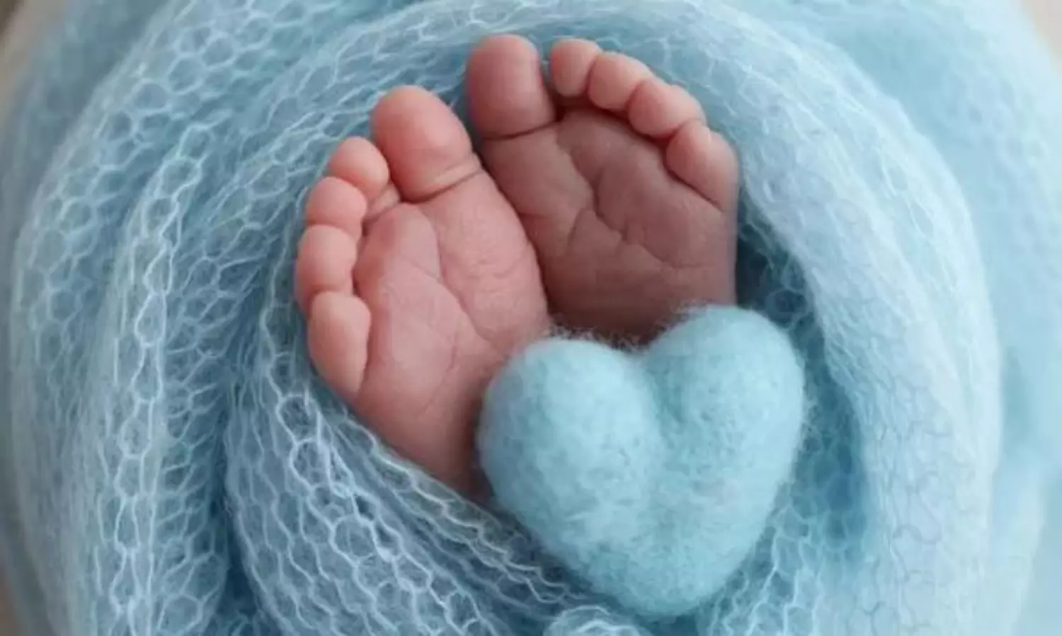 Delhi Woman Kidnaps Baby After Faking Pregnancy