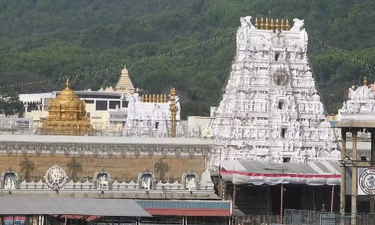 Tirumala Digital Future Plans