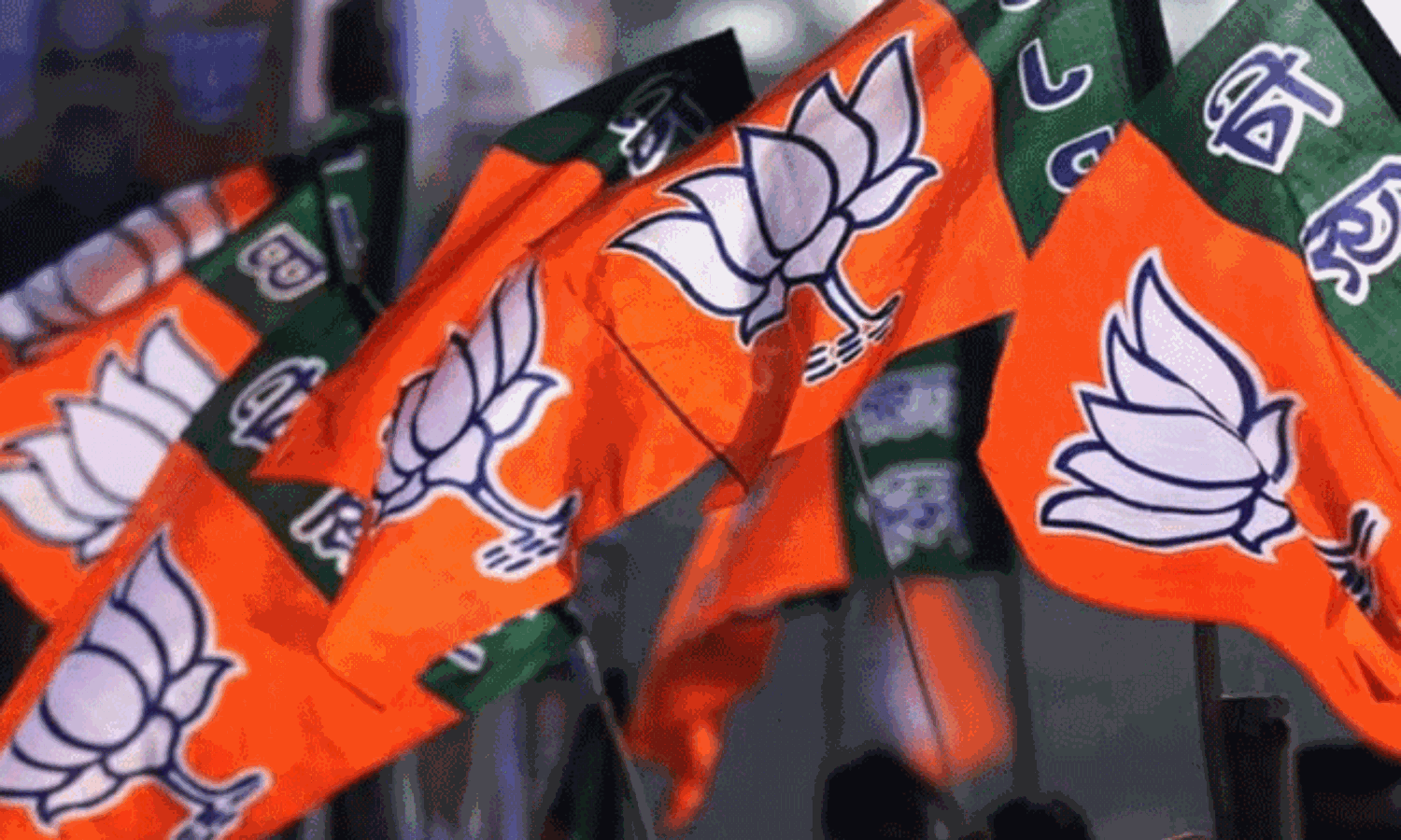 BJPs Political Overhaul: New President and Cabinet Reshuffle Likely in 2025