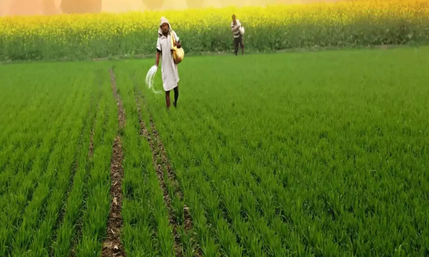 ఏఐ దెబ్బ.. విల్లాలు కాదు.. వ్యవసాయ భూములే నిజమైన ఆస్తి! ఏఐ దెబ్బ.. విల్లాలు కాదు.. వ్యవసాయ భూములే నిజమైన ఆస్తి!