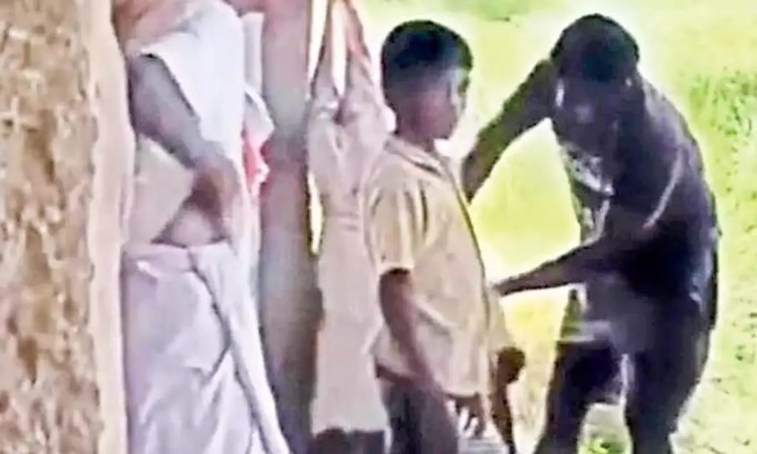 శ్రీకృష్ణదేవరాయలు సమాధికి అపచారం.. సోషల్ మీడియా లేకుంటే?