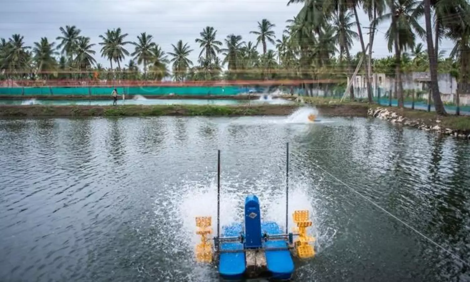 కిరికిరి లేదు.. క‌లిసిపోయారు:  గోదావ‌రి నేత‌లంతే!