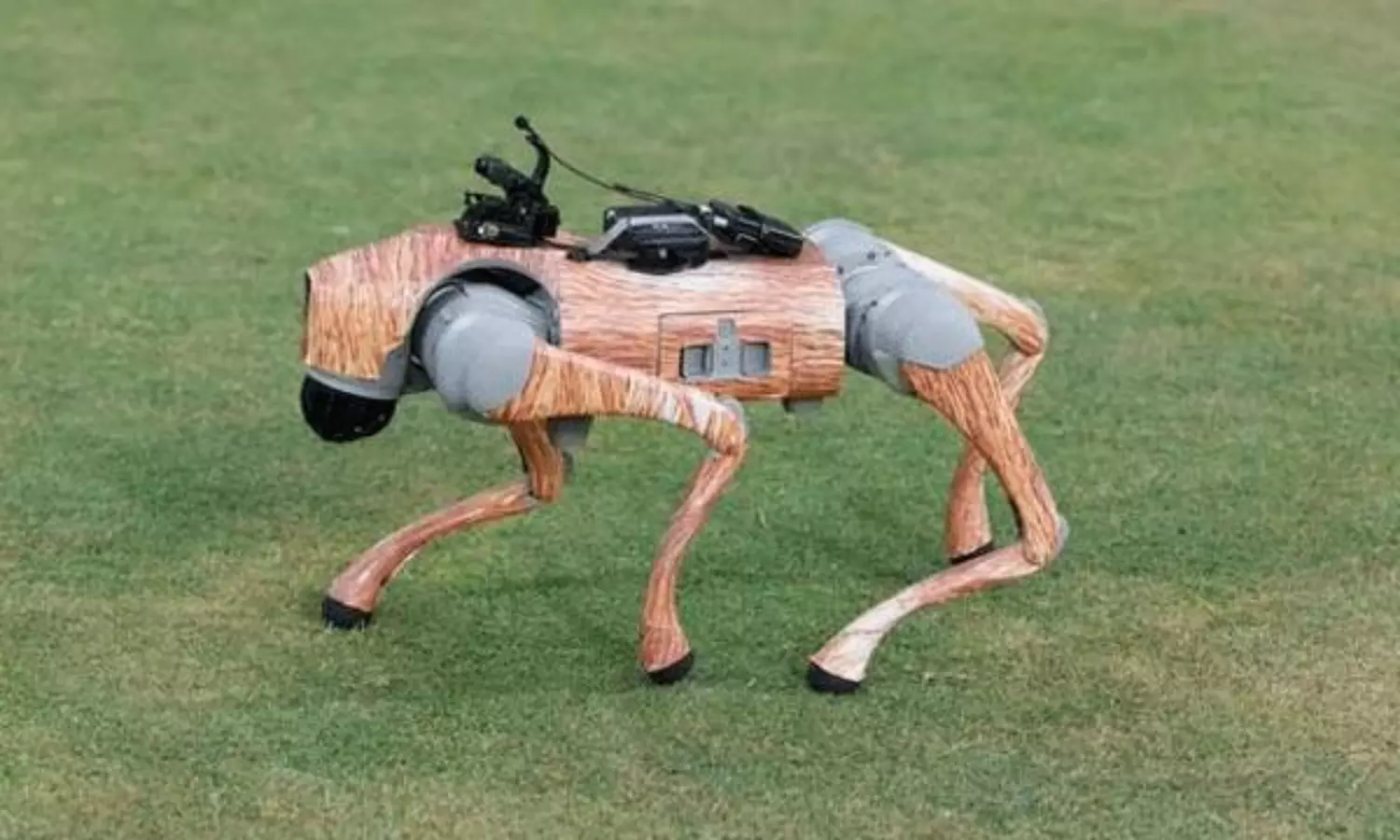 The Robo Dog Taking Over IPL 2025 with Its Unique Moves The Robo Dog Taking Over IPL 2025 with Its Unique Moves