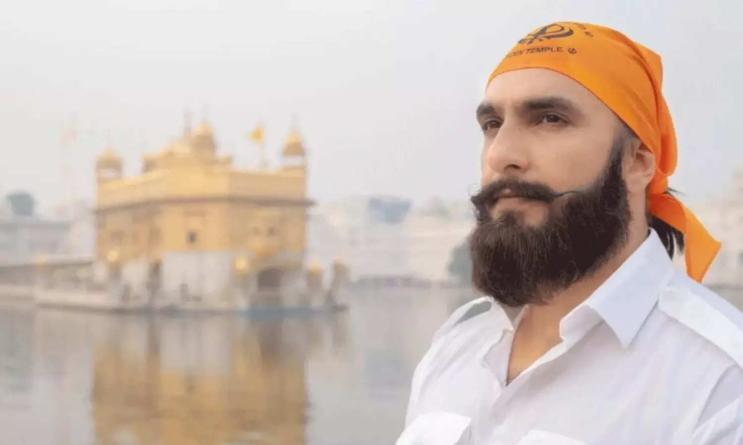 Ranveer Singh Dhurandhar Inspired by Animal