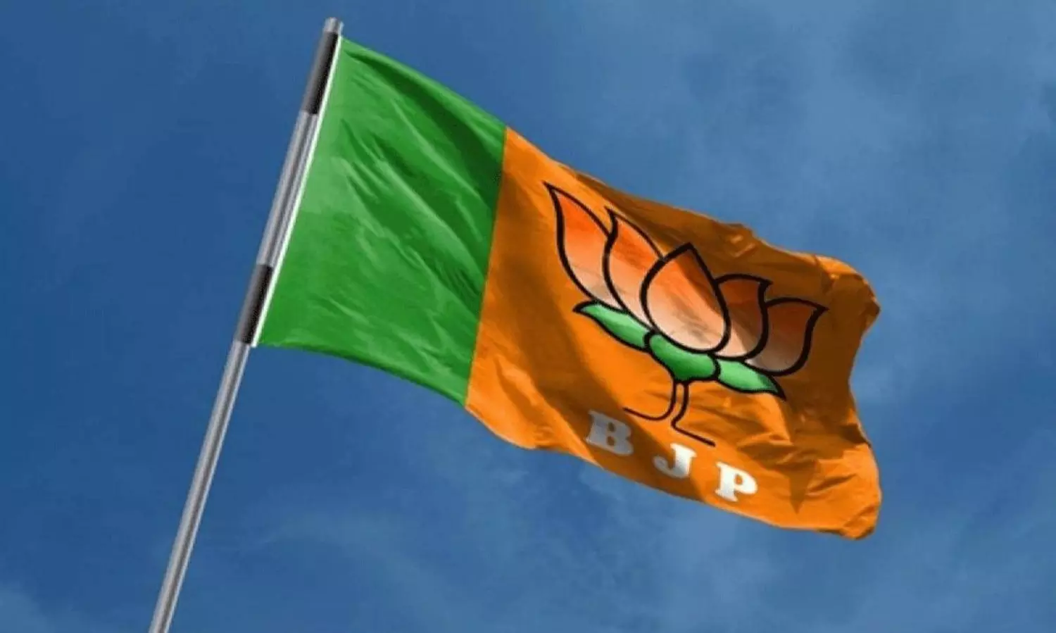 AP BJP Leaders Political Career AP BJP Leaders Political Career