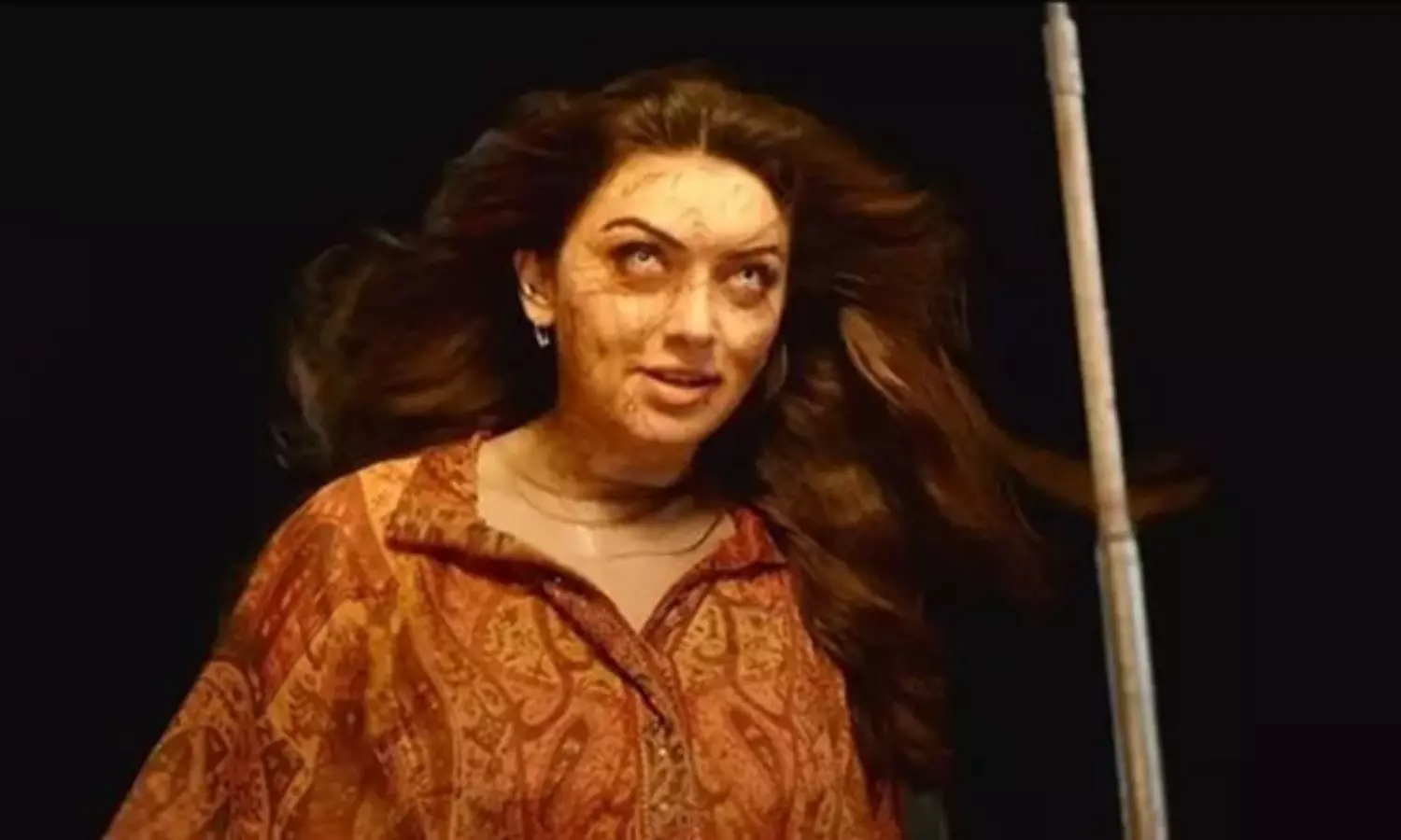 హన్సిక ఇకపై వాటికే పరిమితమా? హన్సిక ఇకపై వాటికే పరిమితమా?