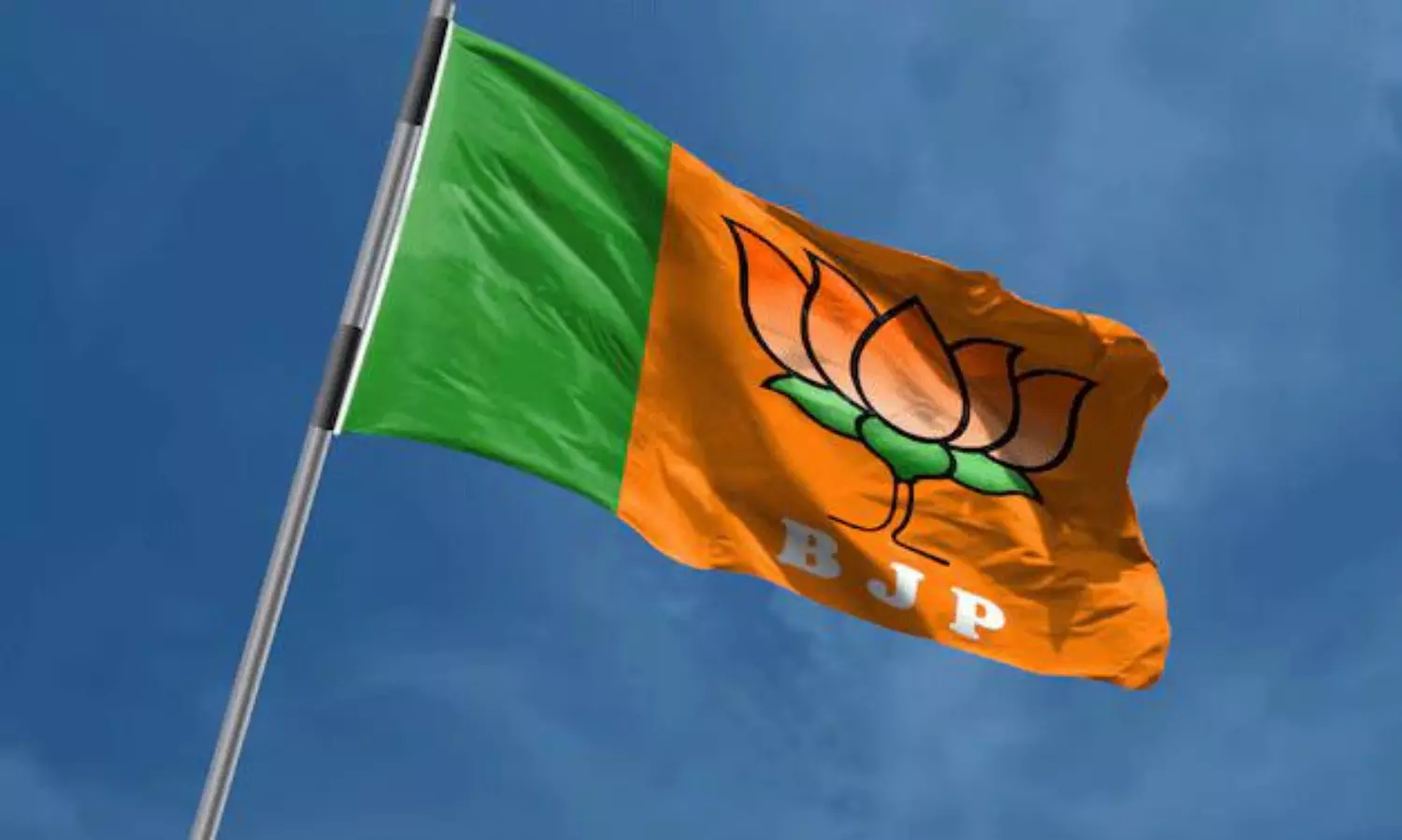 AP BJP Plans New Leader In Andhra Pradesh