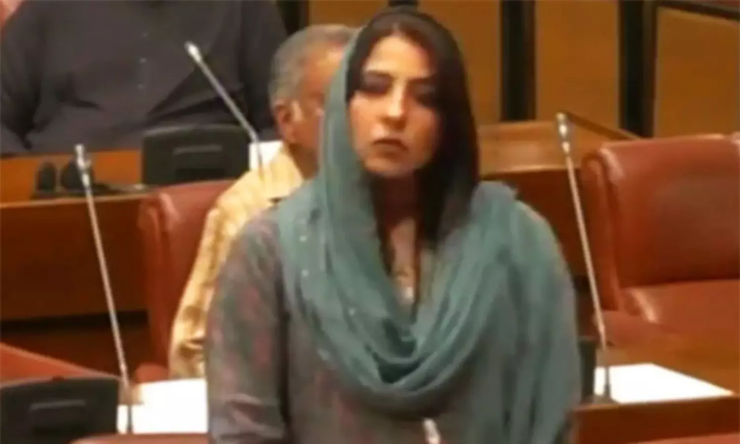 పాక్  సైనికులతో అయోధ్యలో బాబ్రీ మసీదు నిర్మాణం... సెనేటర్  తీవ్ర వ్యాఖ్యలు!