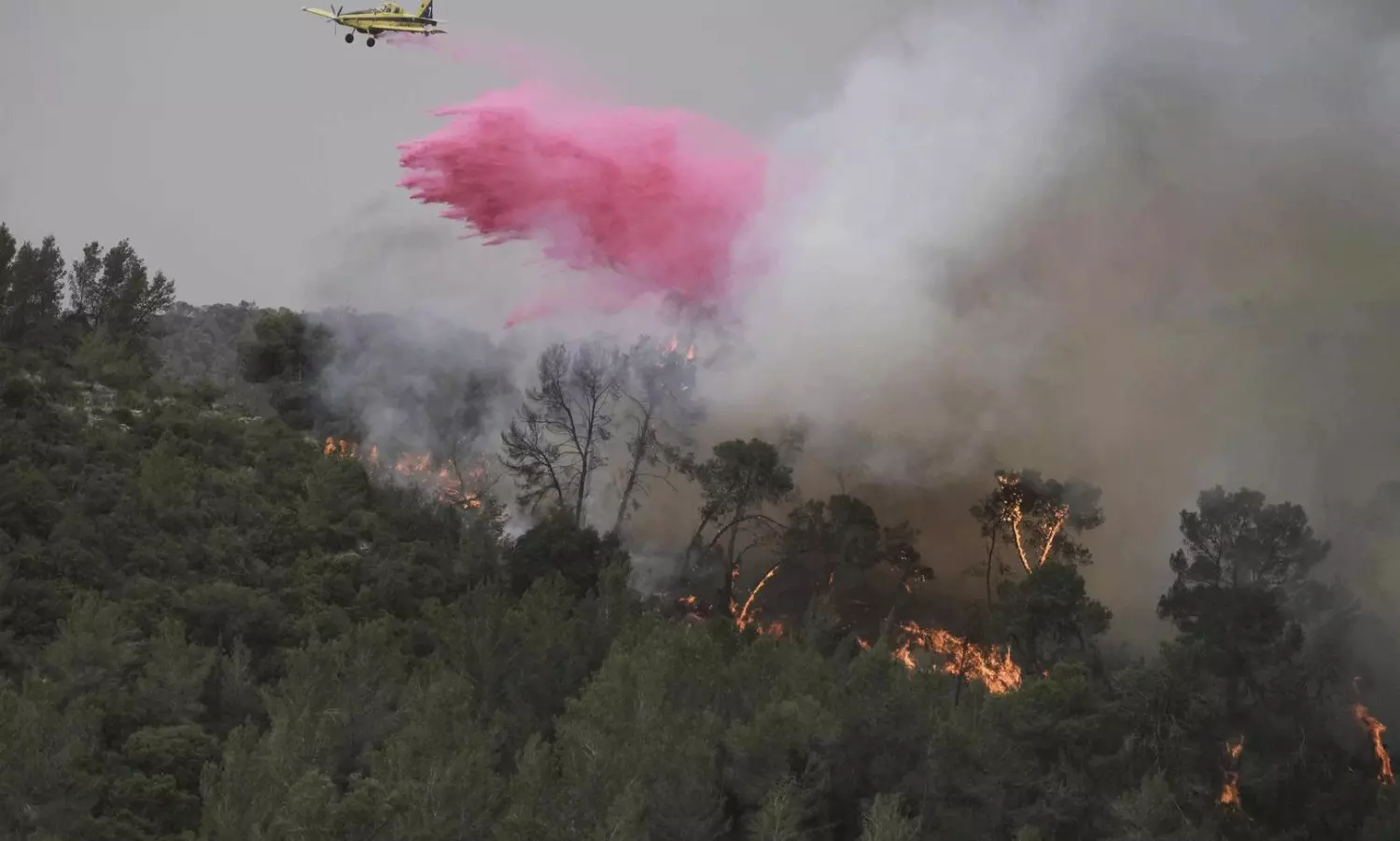 Israel Battles Wildfires Amid Prolonged War