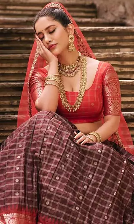 Nabha Natesh Lights Up Instagram In Beautiful Dress