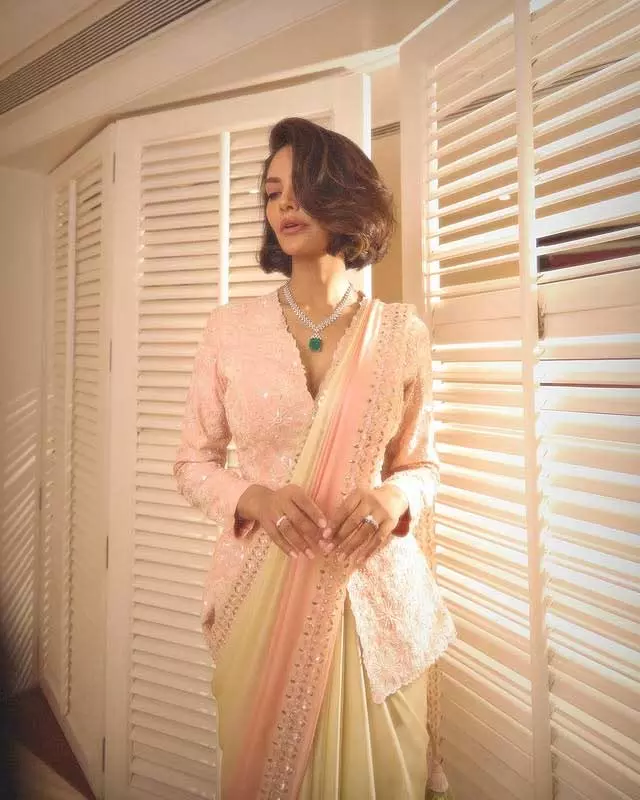 Esha Gupta Wows in Pastel Ombre Saree and Jacket at WAVE Summit 2025