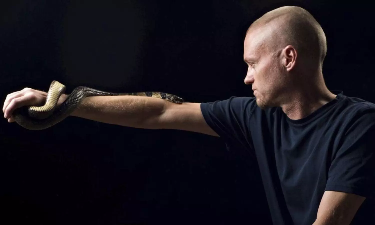 From Snake Bites to Life-Saving Antibodies From Snake Bites to Life-Saving Antibodies