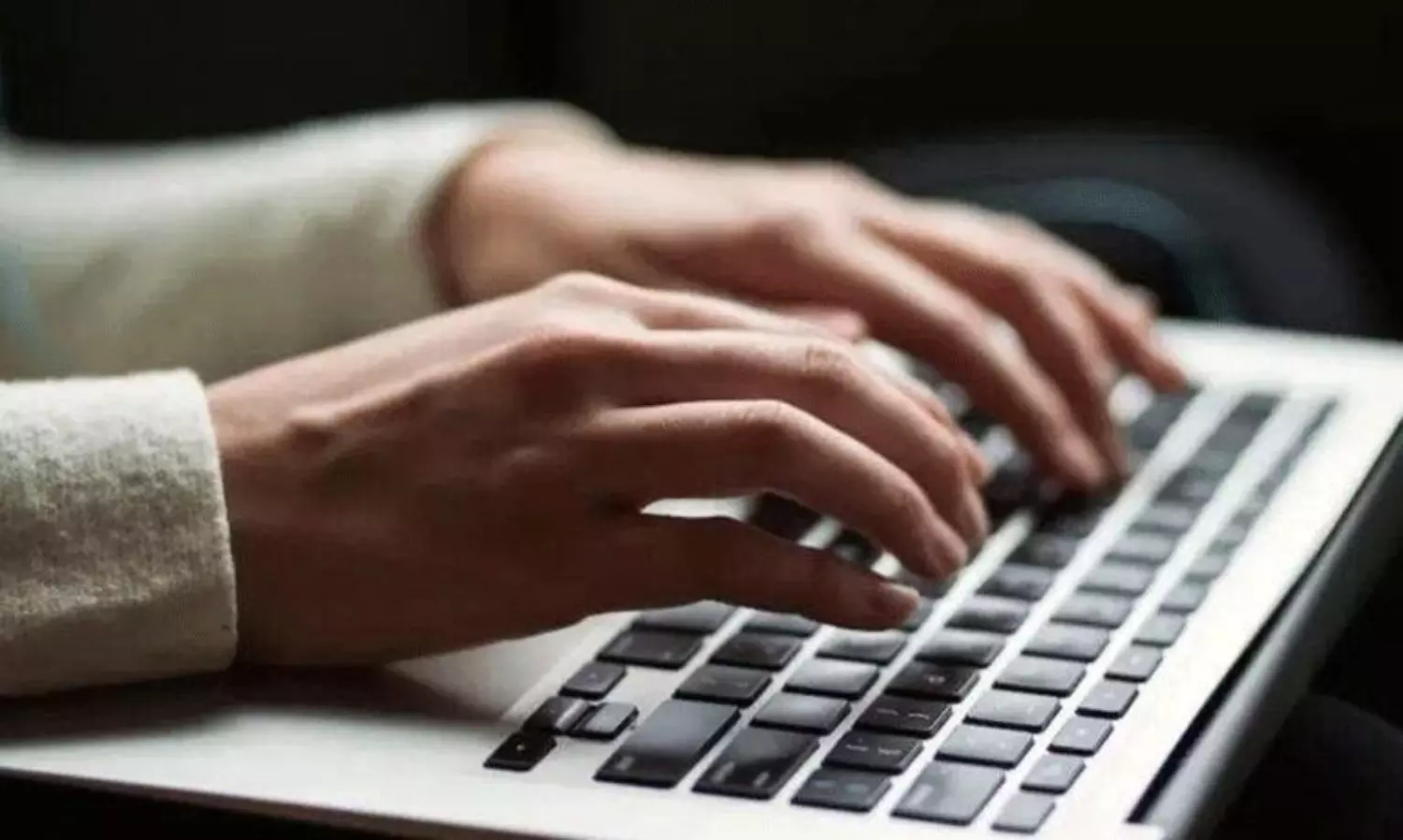 The U.S. Job Market for OPT Students The U.S. Job Market for OPT Students