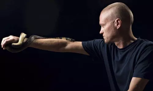 From Snake Bites to Life-Saving Antibodies