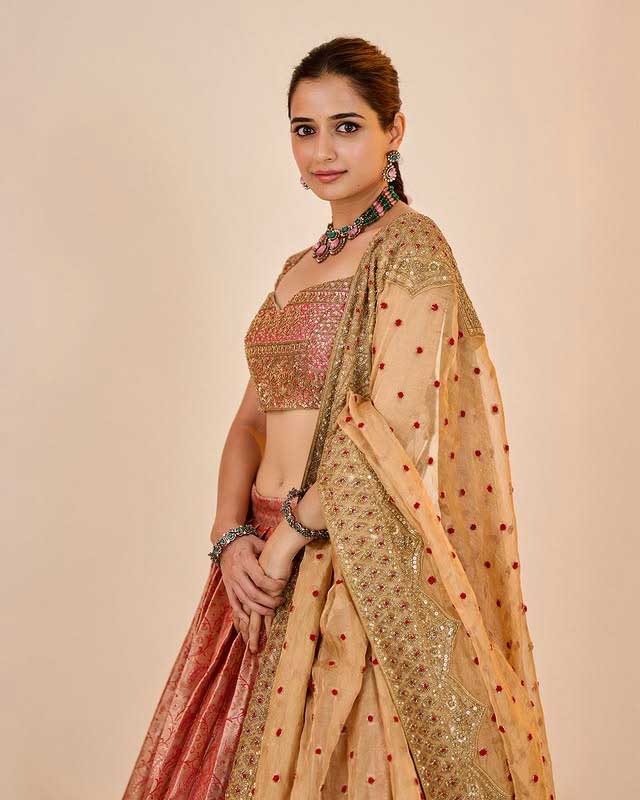 Ashika Ranganath Radiates Ethnic Grace Ashika Ranganath Radiates Ethnic Grace