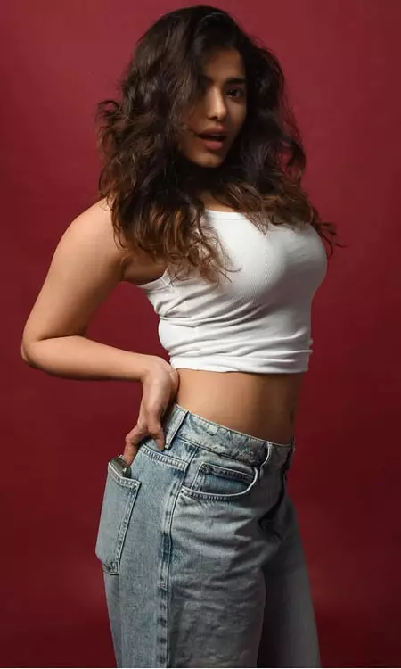 Enchanting Looks from Your Favorite Ketika Sharma