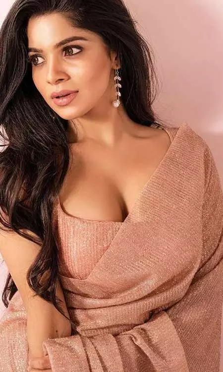 Divya Bharathi knows how to slay saree look