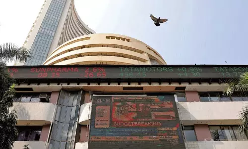 Stock Market Surges with Bull Run