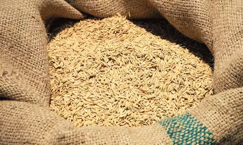 డబ్బుల్ని ధాన్యం బస్తాలో దాచాడు.. తెలీక అమ్మేసిన భార్య