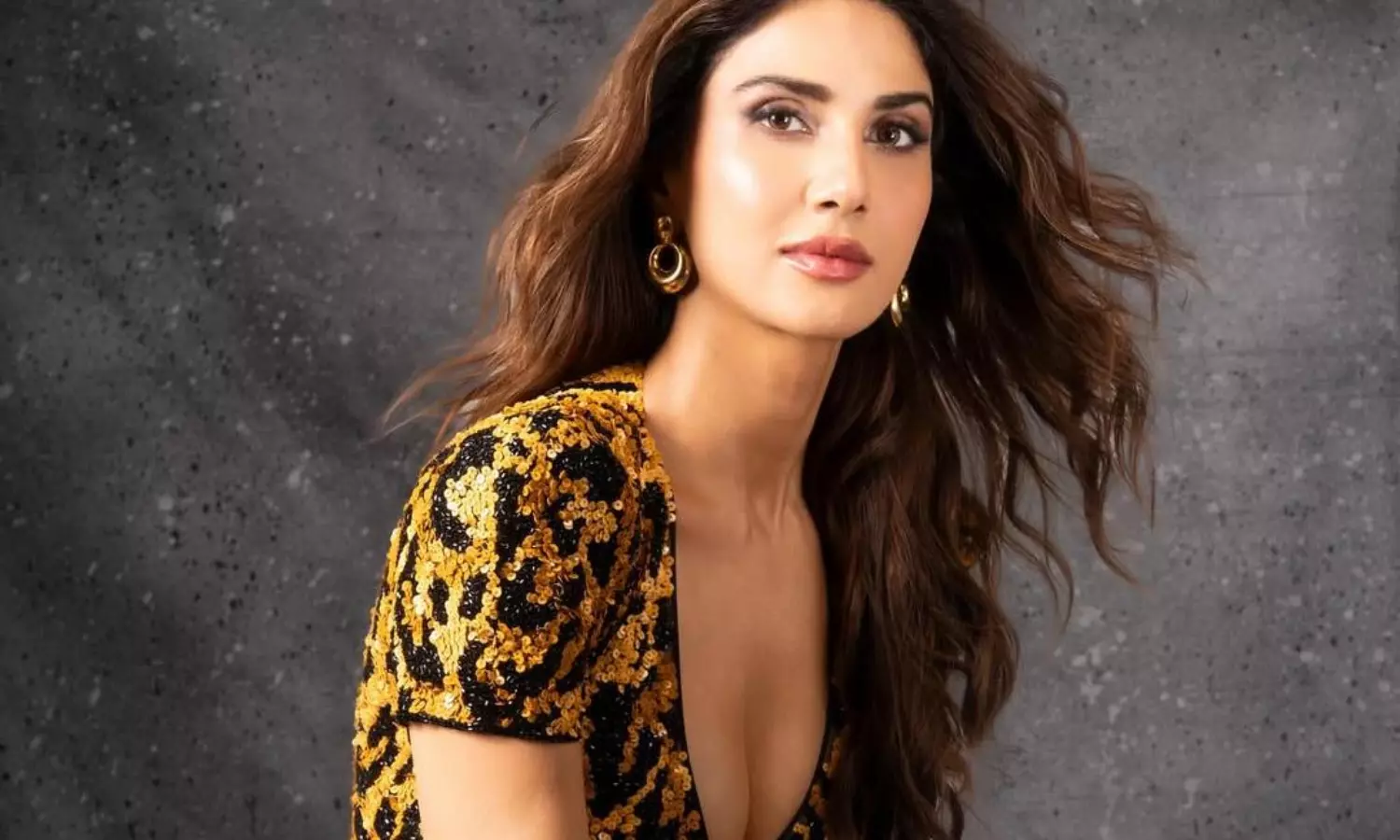 వాణీ క‌పూర్ స్ట‌న్నింగ్ ఫోజ్ వైర‌ల్