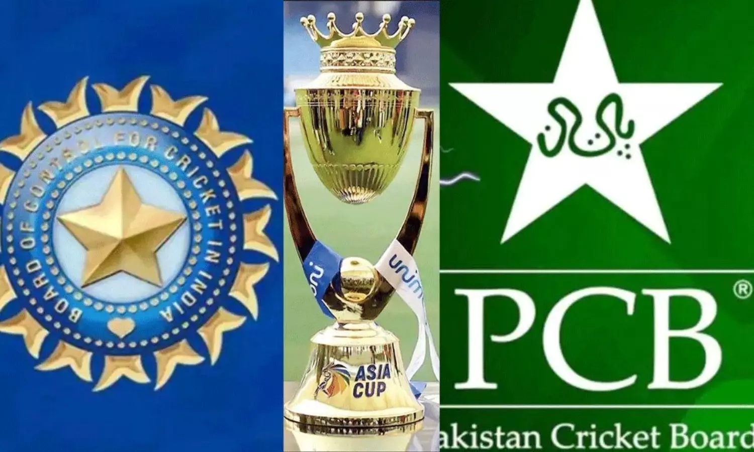 ఆసియాకప్ లో పాక్ తో క్రికెట్ బంద్.. బీసీసీఐ సంచలన ప్రకటన ఆసియాకప్ లో పాక్ తో క్రికెట్ బంద్.. బీసీసీఐ సంచలన ప్రకటన