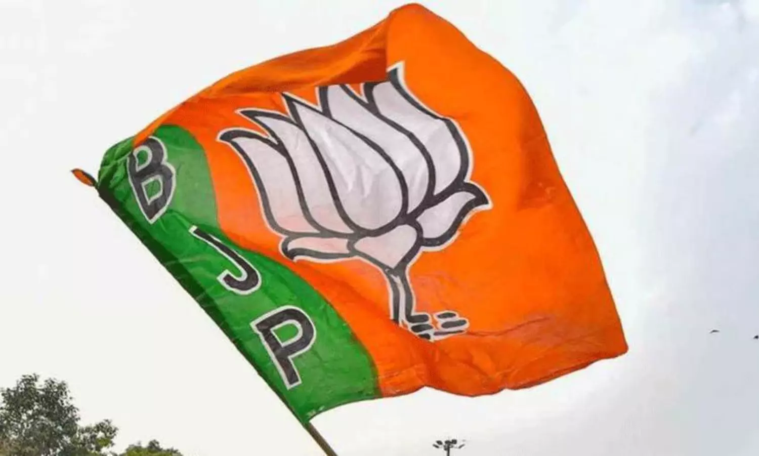 సక్సెస్ కి బ్రాండ్ అంబాసిడర్ బీజేపీనా ? సక్సెస్ కి బ్రాండ్ అంబాసిడర్ బీజేపీనా ?