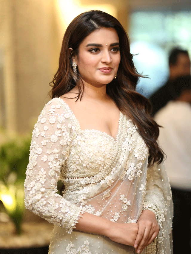 Nidhhi Agerwal Shines at Hari Hara Veera Mallu Press Meet
