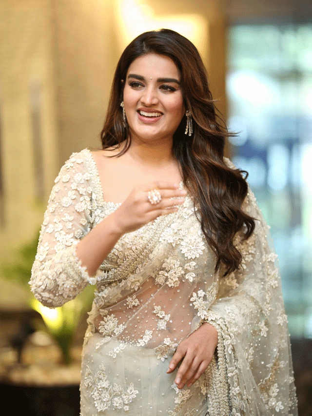 Nidhhi Agerwal Shines at Hari Hara Veera Mallu Press Meet