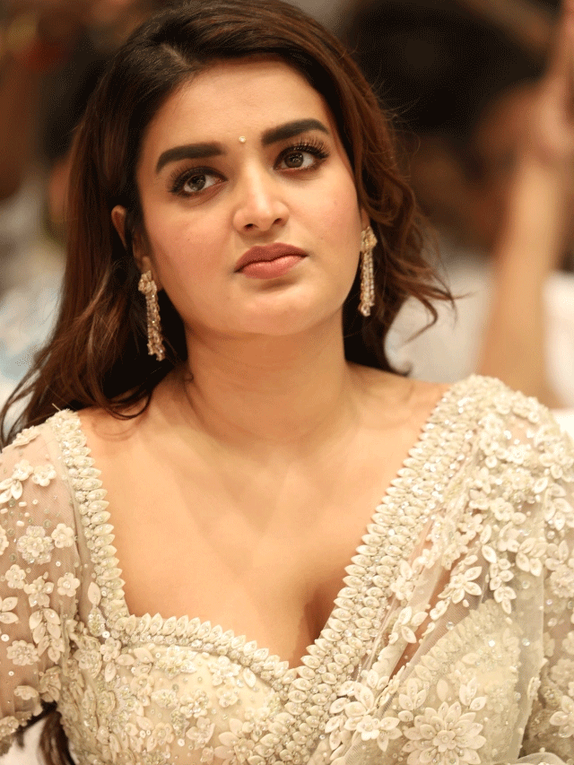 Nidhhi Agerwal Shines at Hari Hara Veera Mallu Press Meet